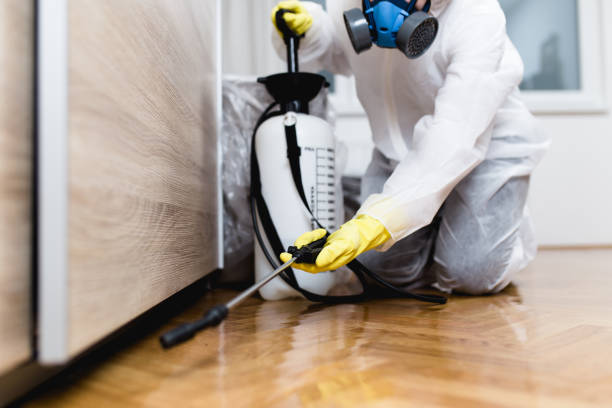 Best Pest Control Near Me  in Greenwood, PA