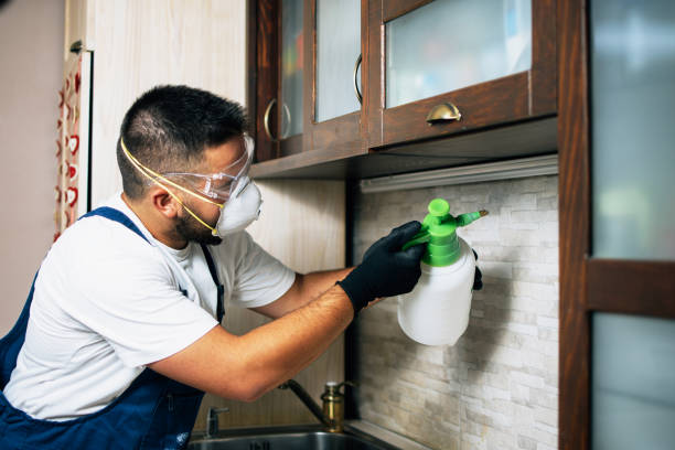 Best Affordable Pest Control Services  in Greenwood, PA