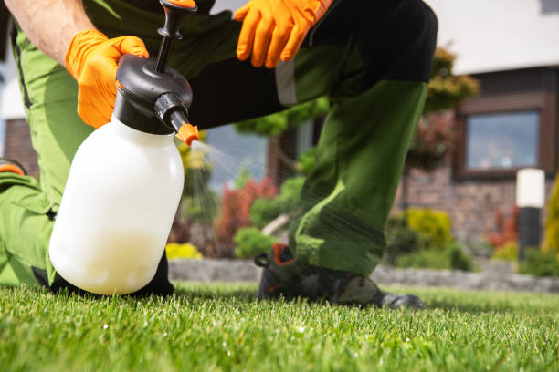 Reliable Greenwood, PA Pest Control Solutions