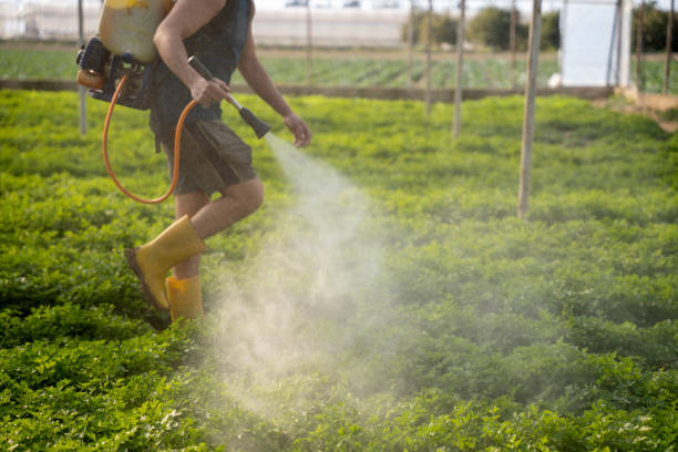 Best Pest Control for Businesses  in Greenwood, PA