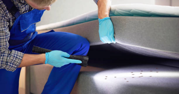 Best Ant Control Services  in Greenwood, PA