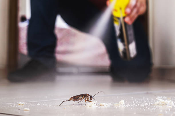 Best Termite Control Services  in Greenwood, PA