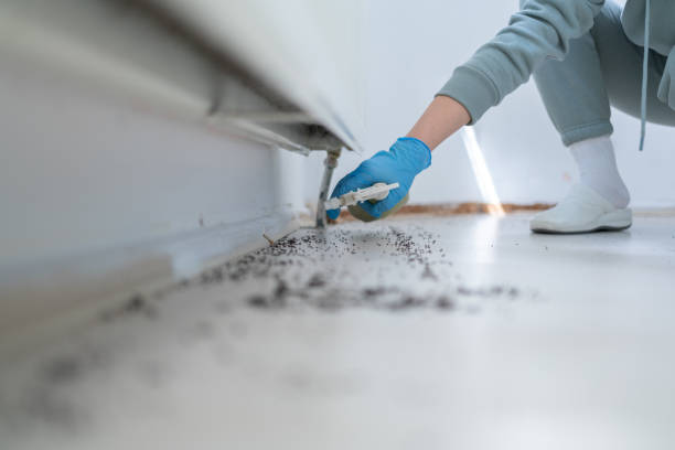 Best Flea Control Services  in Greenwood, PA
